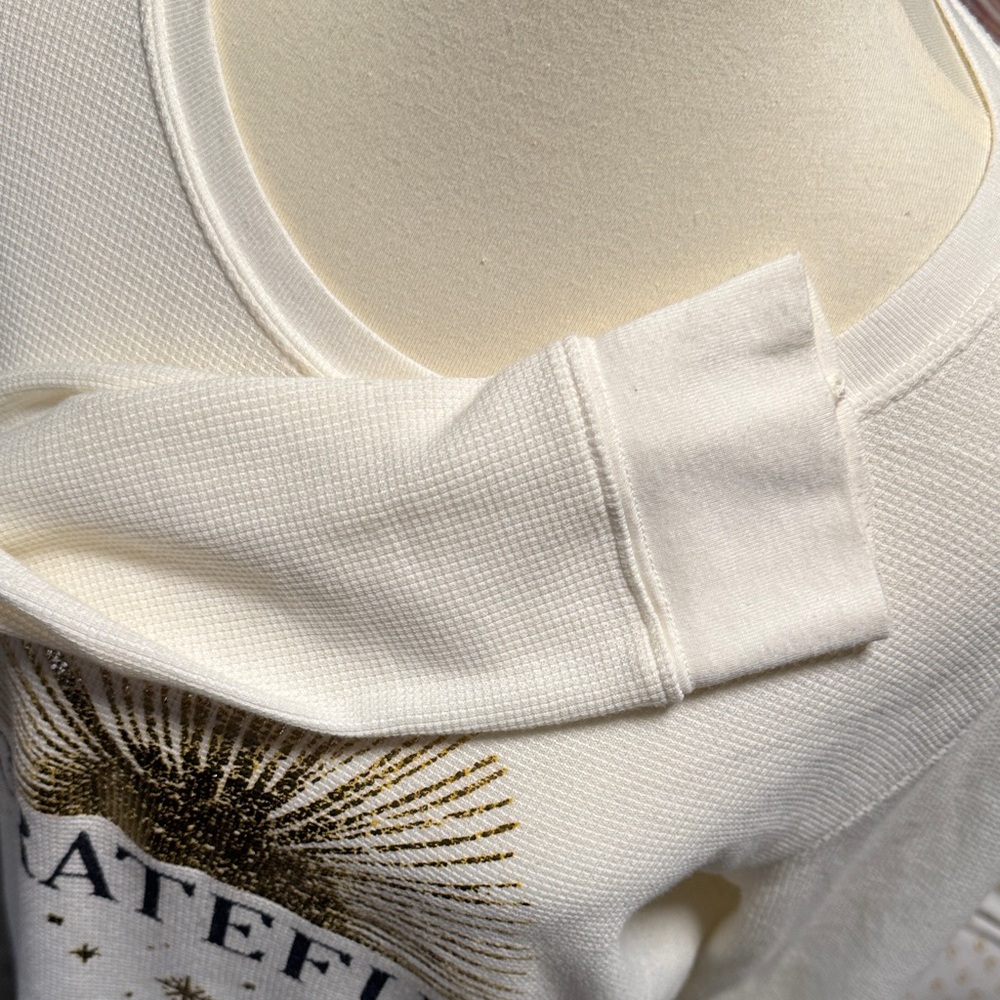 Anthropologie’Grateful’ Pullover - image 4